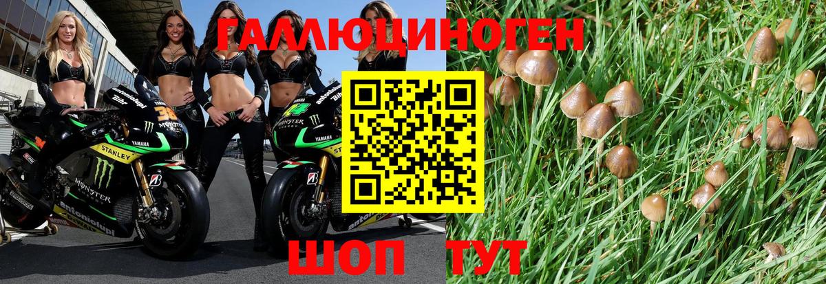 Лобня  Псилоцибиновые грибы Magic Shrooms  Вход с VPN 